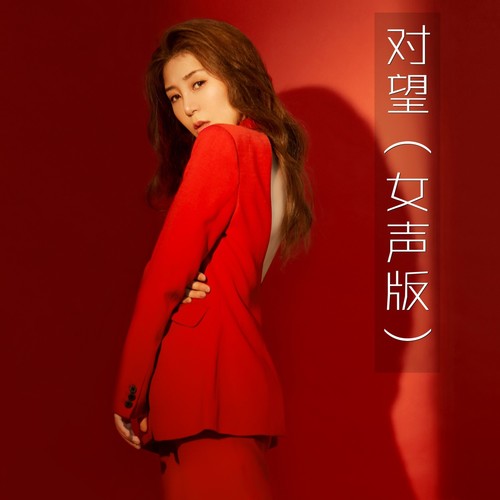 对望（女声版）