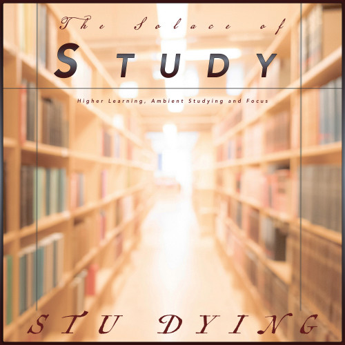 The Solace of Study: Higher Learning, Ambient Studying and Focus