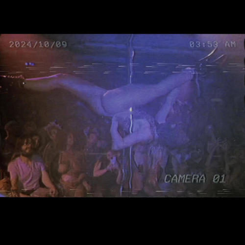 Sextape #2: Orgy Party (Explicit)