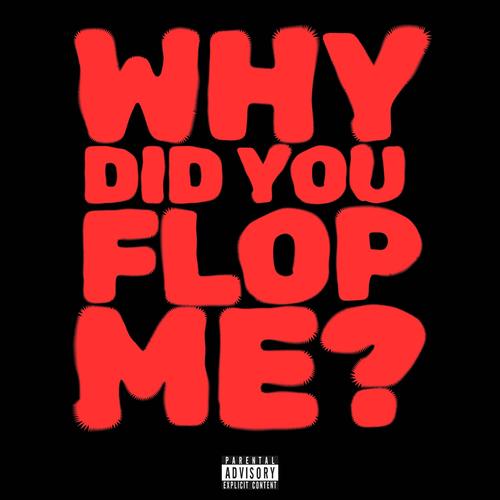 Why Did You Flop Me? (Explicit)