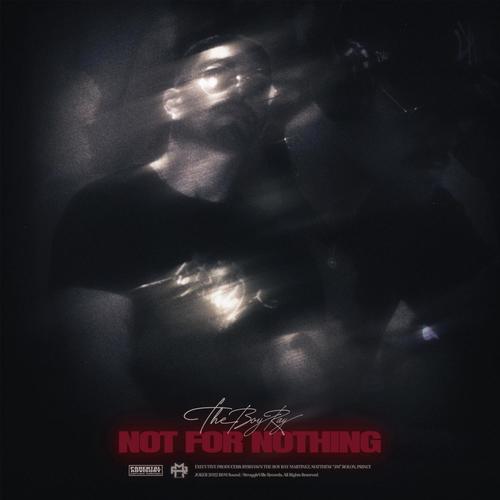 Not For Nothing (Explicit)