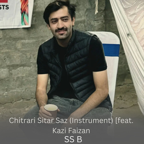 Chitrari Sitar Saz (Instrument)