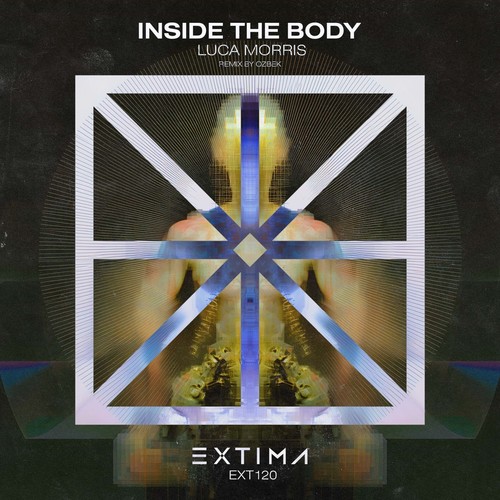 Inside the Body