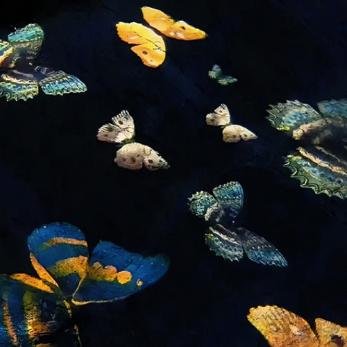 Automotivo Bibi Fogosa（可惜我两手空空inst.）