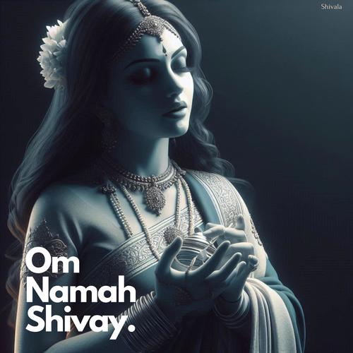 The Om Namah Shivaya Experience