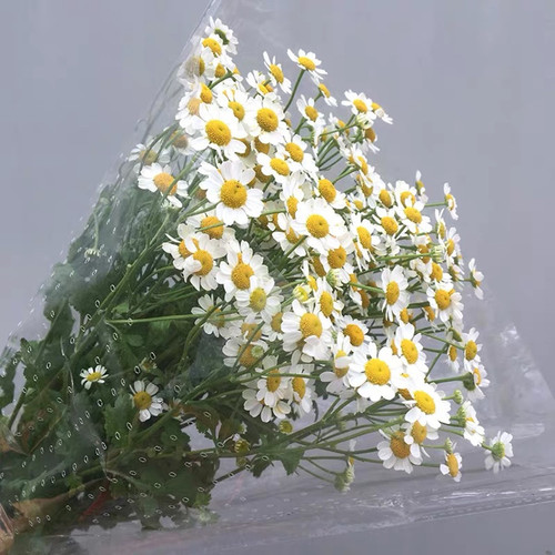 给我一首歌的时间