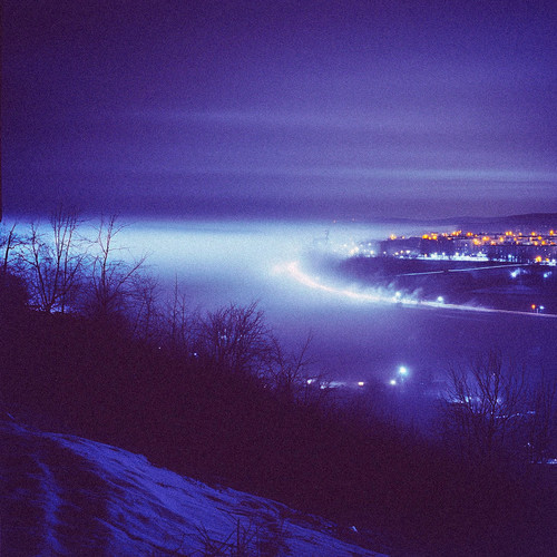 you believe everything i say