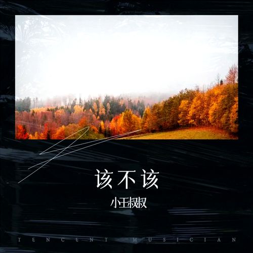 该不该