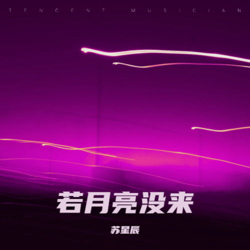 若月亮没来（DJ咚鼓版）