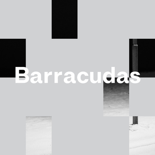 Barracudas