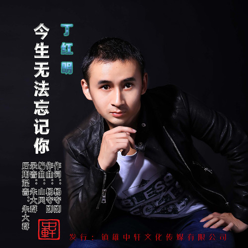 今生无法忘记你