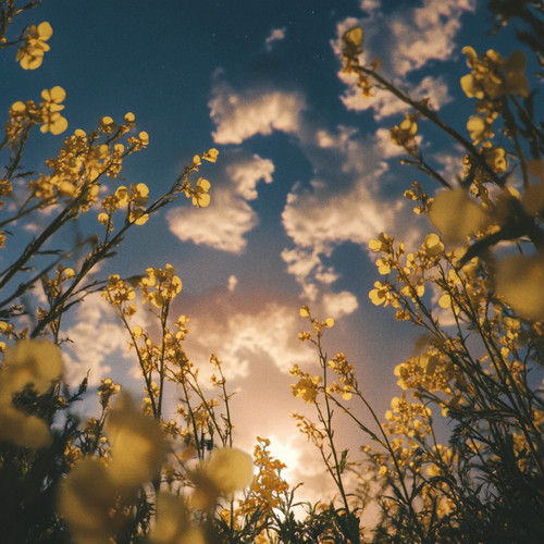 When I Met U (Lullaby)