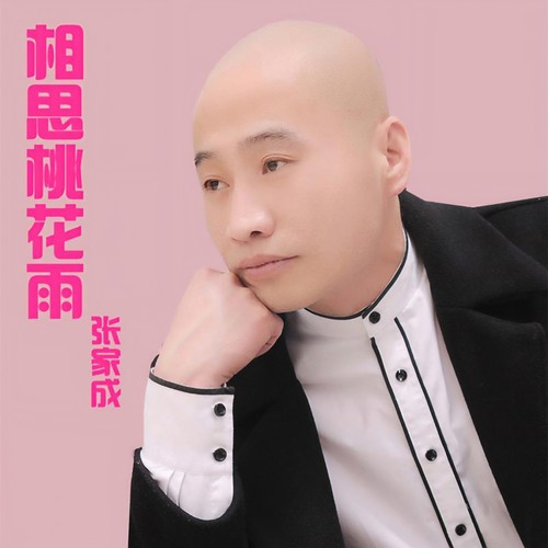 相思桃花雨（DJ精选）