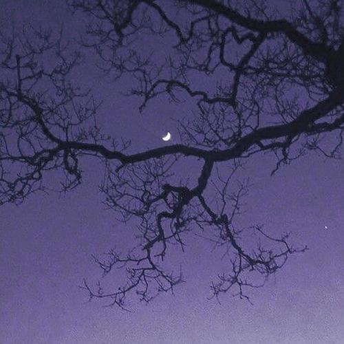 tiny specks
