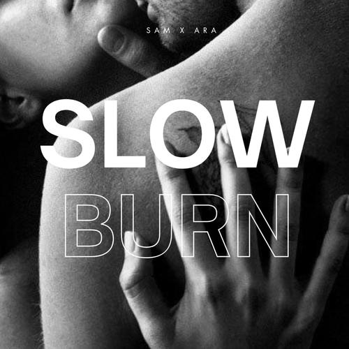 Slow Burn (feat. Ara Moreau)