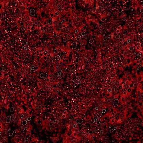 knockback (feat. Hesii) [Explicit]