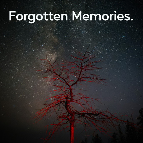 Forgotten Memories