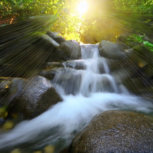 Melodías De Spa Relajantes: Calma Y Paz Rítmica