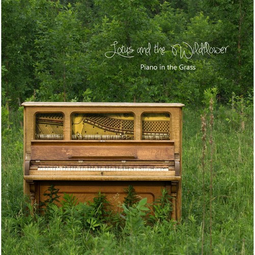 Piano in the Grass
