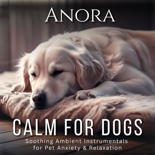 Calm for Dogs: Soothing Ambient Instrumentals for Pet Anxiety & Relaxation