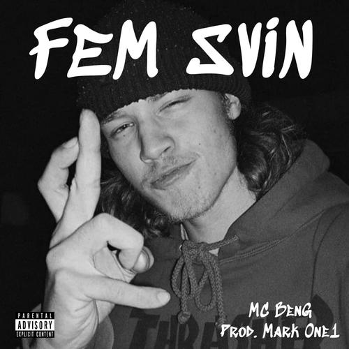 FEM SVIN (Explicit)