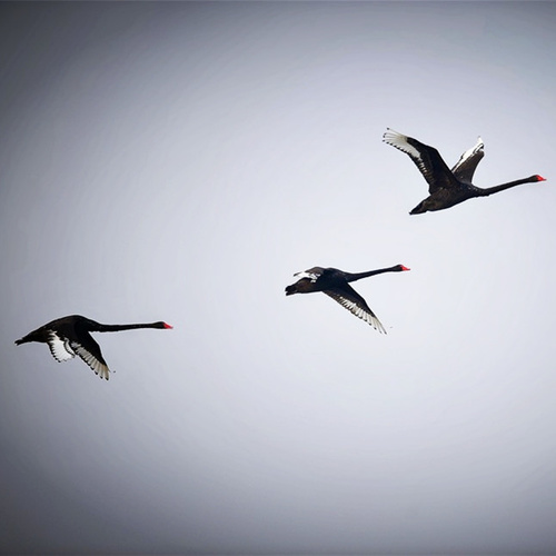 AMnesiac安尼西亚DEMO