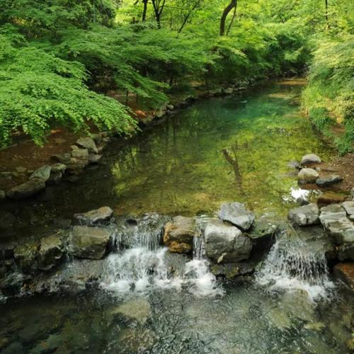 白噪音  |  告别喧嚣，沉浸专注