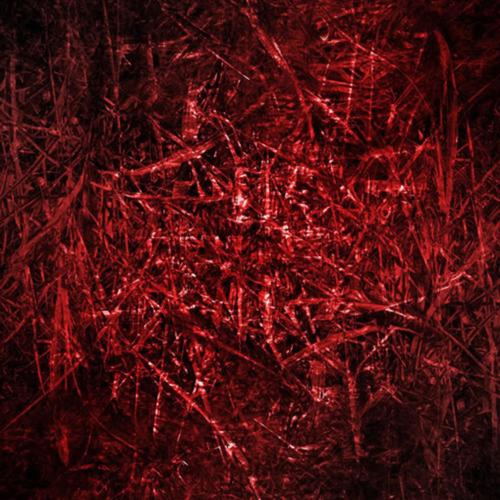 enemy (feat. indodeath) [Explicit]