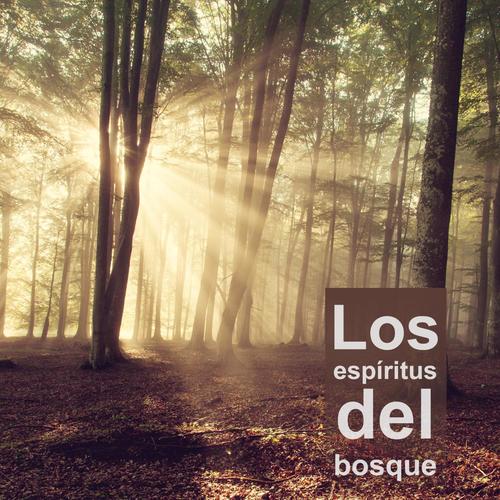 Los espíritus del bosque - Las mejores musicas instrumentales con sonidos de lluvia, del mar y de lo