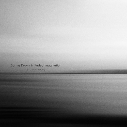 Spring Drown in Faded Imagination 春归无觅