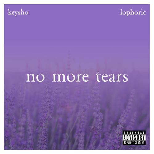 No More Tears (Explicit)