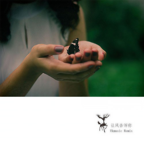 让风告诉你 (Ukmusic remix)