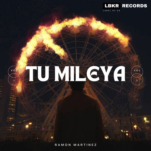Tu Mileya (LoFi)