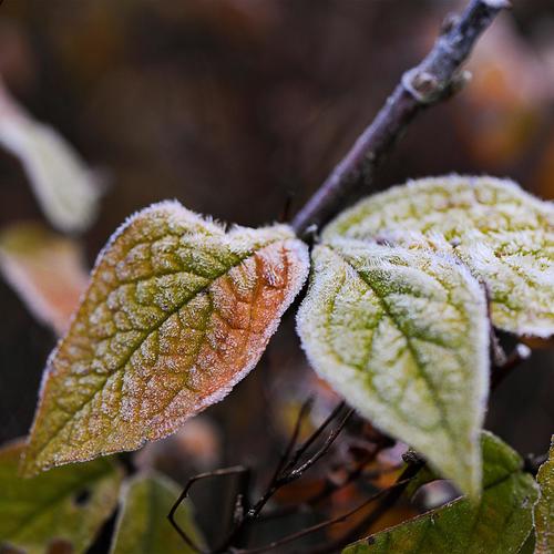 ПОКА МЫ ЖИВЫ, МОЖНО ВСЁ ИСПРАВИТЬ! (feat. Эдуард Асадов)