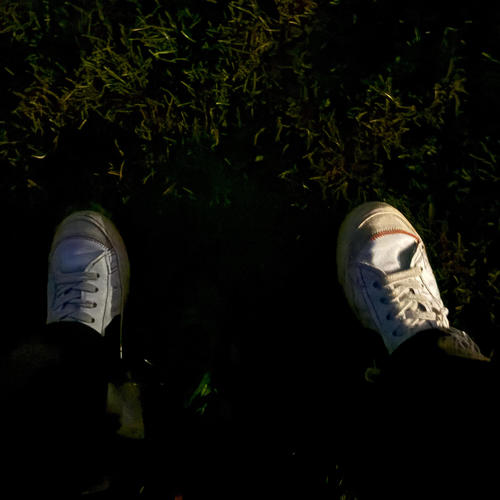 Legenden sterben jung (Explicit)