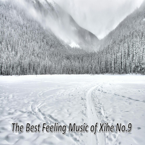The Best Feeling Music of Xihe No.9