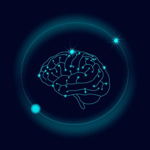 Brain