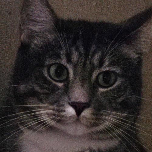 Run From Riverside (Explicit)