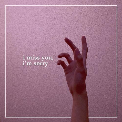 I miss you, I'm sorry