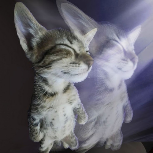 Pq No Estás Acá (Remix)