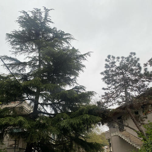 O ZAMAN PATLAT (feat. Oky, Ev3, Tella & ibo) [Explicit]