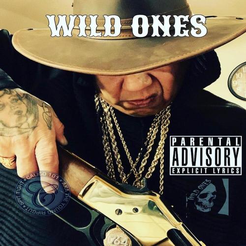 Wild Ones (Explicit)
