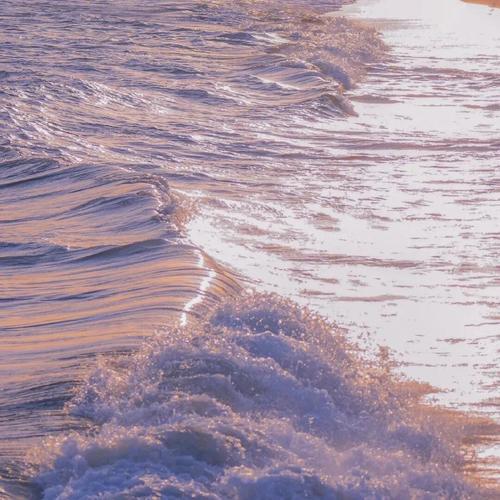 迈向八月，一切既往，平安胜意。