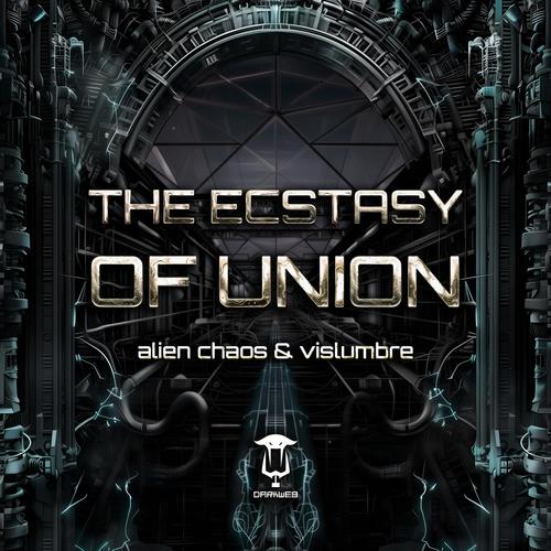 The Ecstasy of Union (feat. Vislumbre)