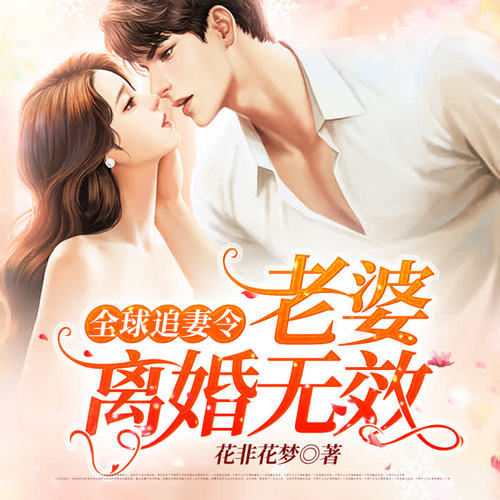 全球追妻令：老婆，离婚无效