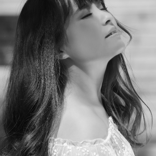 不做爱情的傻瓜