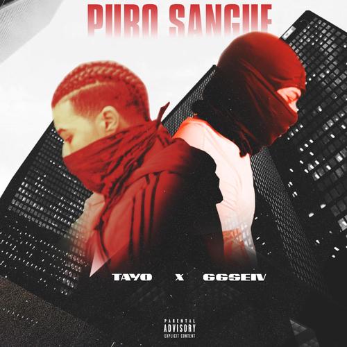 Purosangue (feat. ytpTayo) [YS] [Explicit]