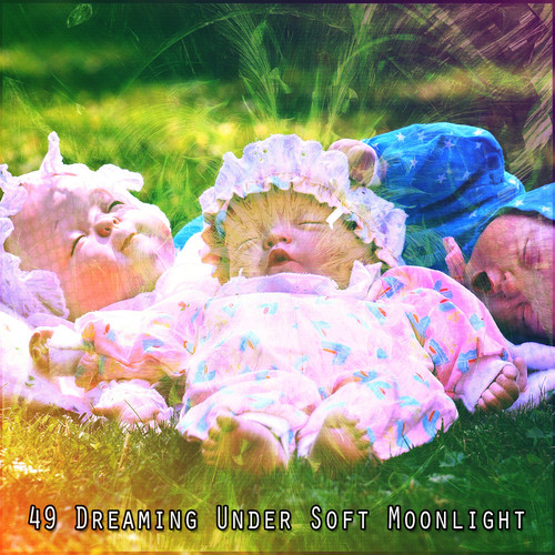 49 Dreaming Under Soft Moonlight