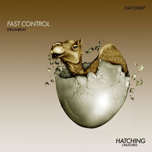 Fast Control