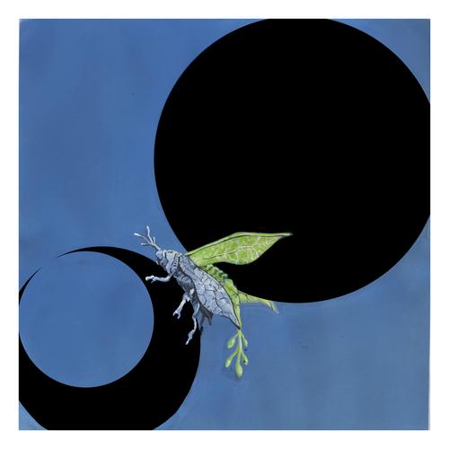 Metamorfosi (Explicit)